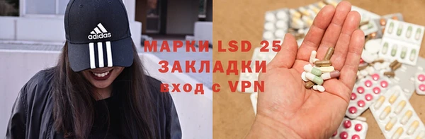 прущий лед Алзамай