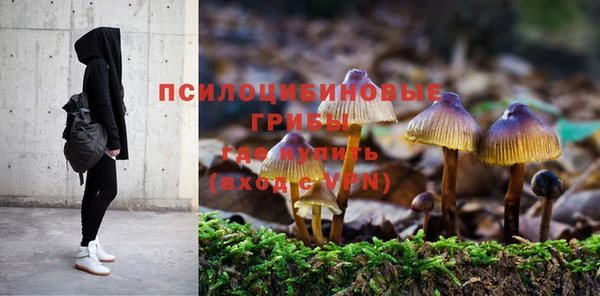 прущий лед Алзамай