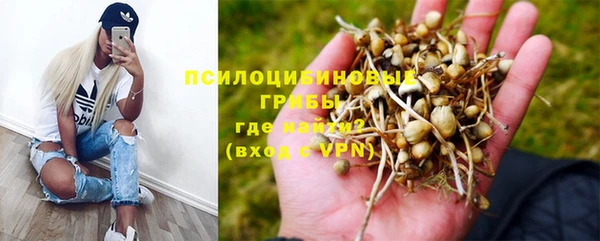 метадон Алексеевка