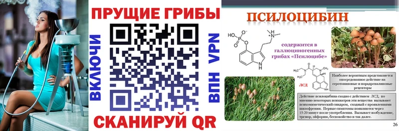 KRAKEN ССЫЛКА  Болгар  Псилоцибиновые грибы GOLDEN TEACHER 